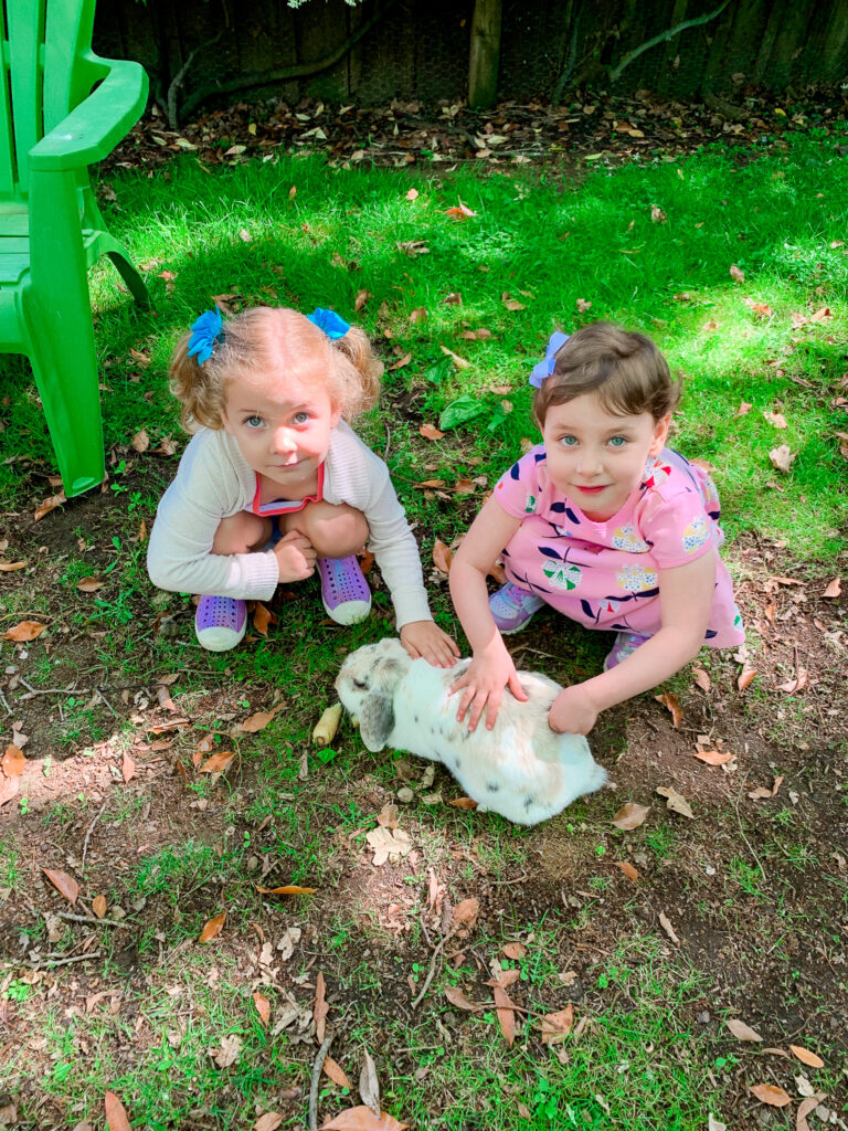 Ross Cottage Nursery School - City Of Ross, California